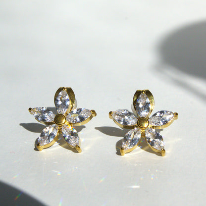 Boucles Cassia